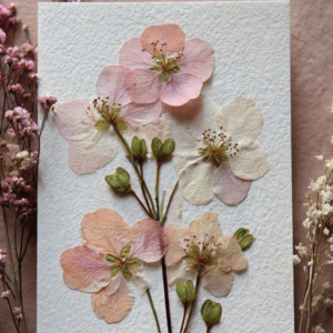 pressed pink and white flowers on cardstock