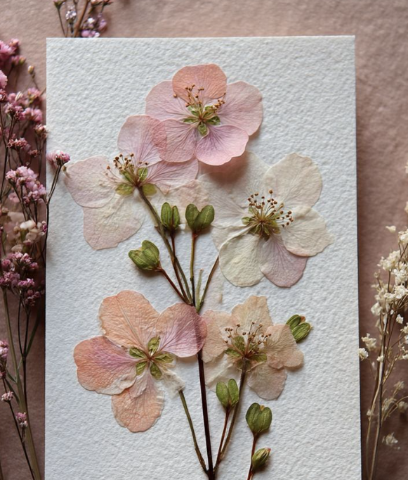 pressed pink and white flowers on cardstock